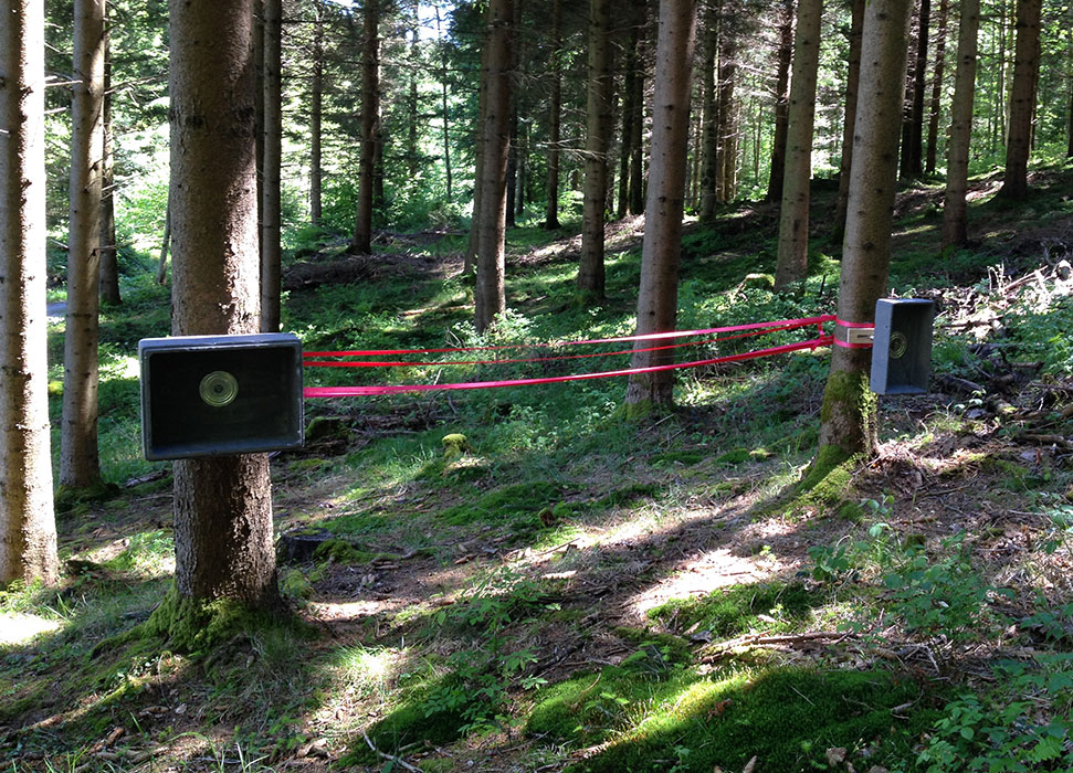 installation d’objets sonores au cœur des bois du Jorat